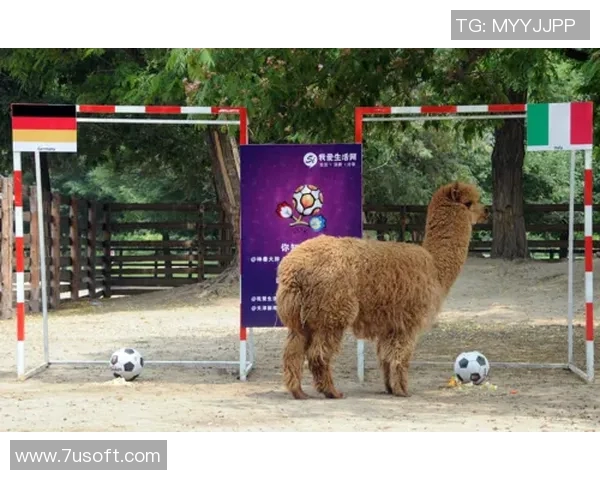 足球明星们的宠物生活揭秘他们都养了哪些可爱的动物伙伴 足球明星们的宠物生活揭秘他们都养了哪些可爱的动物伙伴