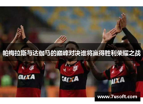 帕梅拉斯与达伽马的巅峰对决谁将赢得胜利荣耀之战